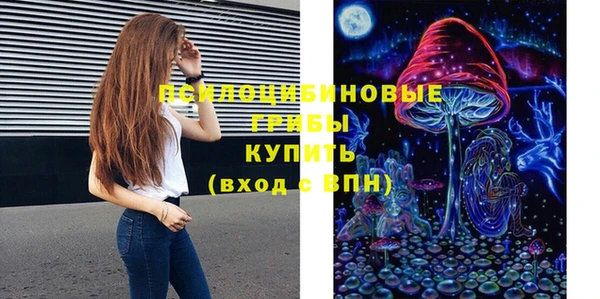 PSILOCYBIN Абинск